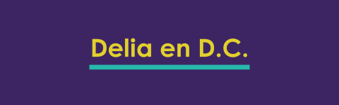 Delia en D.C. graphic