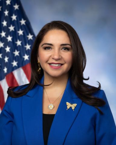Official Portrait of Delia C. Ramirez