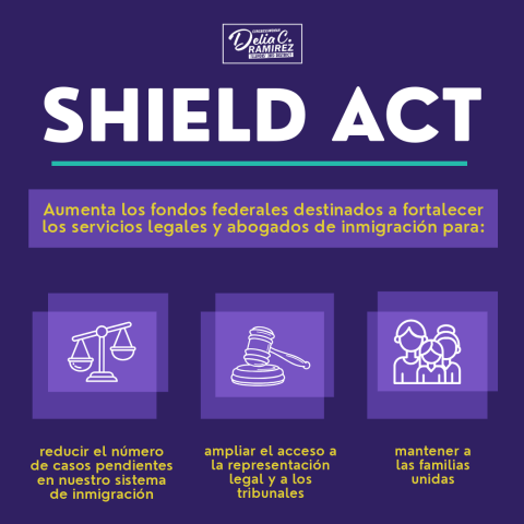 Shield Act