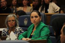 Ramirez at Shadow Hearing